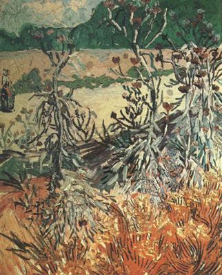 Thistles (nn04), Vincent Van Gogh